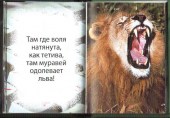 Успешному 2